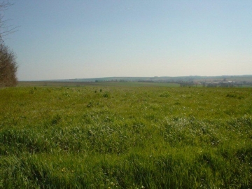 Charente View over the fields from the garden